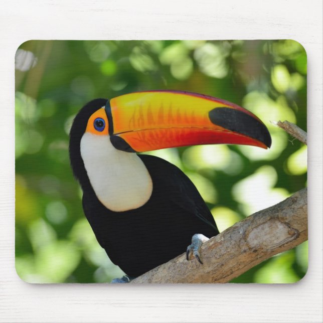 Toucan Mouse Pad (Front)