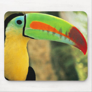 Toucan Mousepad