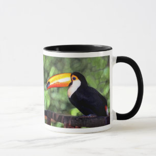 'Toucan' Mug