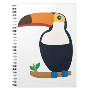 Toucan Notebook