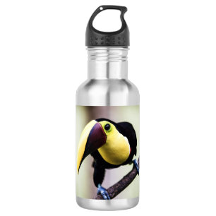 Toucan of Costa Rica 532 Ml Water Bottle