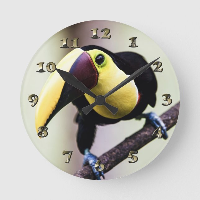 Toucan of Costa Rica Round Clock (Front)