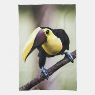 Toucan of Costa Rica Tea Towel