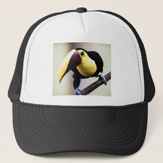 Toucan of Costa Rica Trucker Hat (Front)