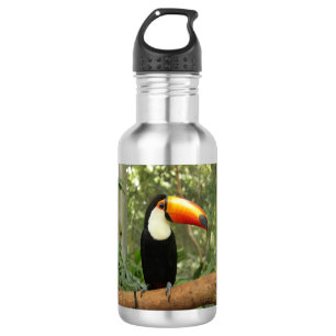Toucan on tree branch 532 ml water bottle