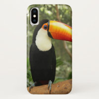 Toucan on tree branch