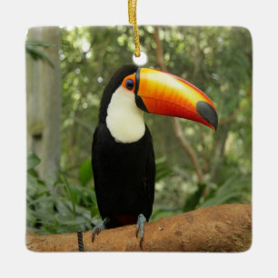 Toucan on tree branch ceramic ornament