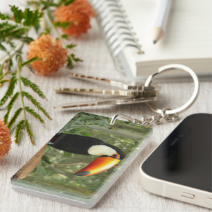 Toucan on tree branch key ring