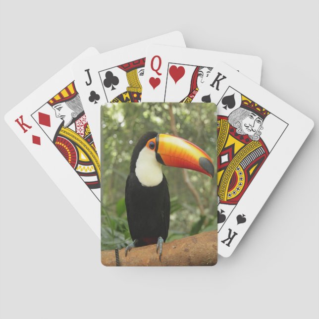 Toucan on tree branch playing cards (Back)
