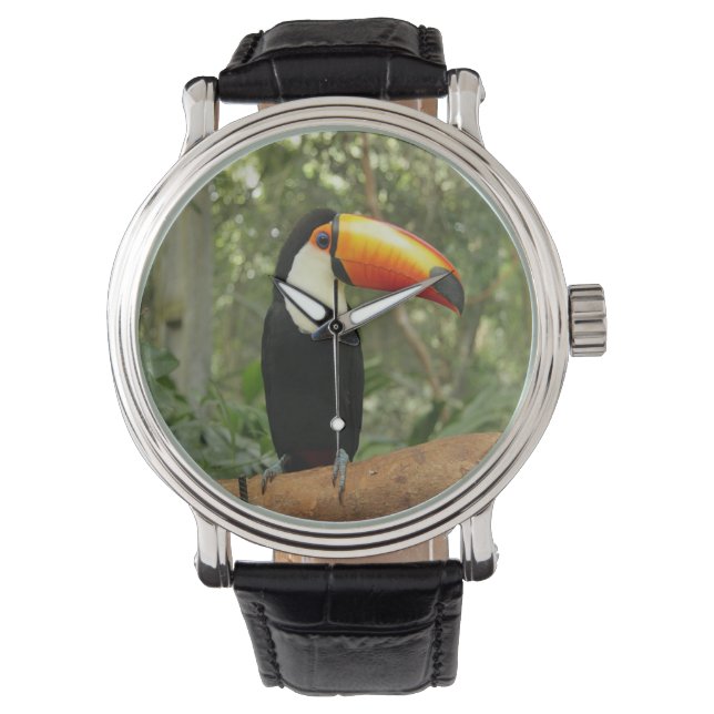 Toucan on tree branch watch (Front)