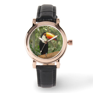 Toucan on tree branch watch