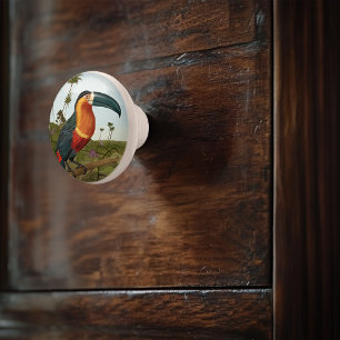 Toucan Painting Ceramic Knob