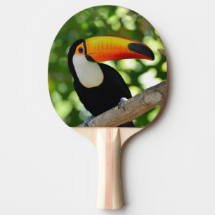 Toucan Ping Pong Paddle