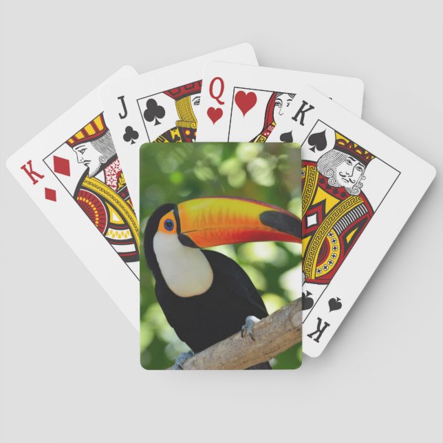 Toucan Playing Cards (Back)