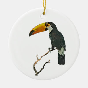 Toucan Portrait Animal Tropical Bird Design Ceramic Ornament