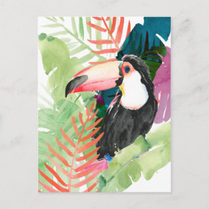 Toucan Portrait with Tropical Leaves Postcard