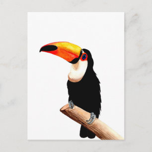 Toucan Postcard