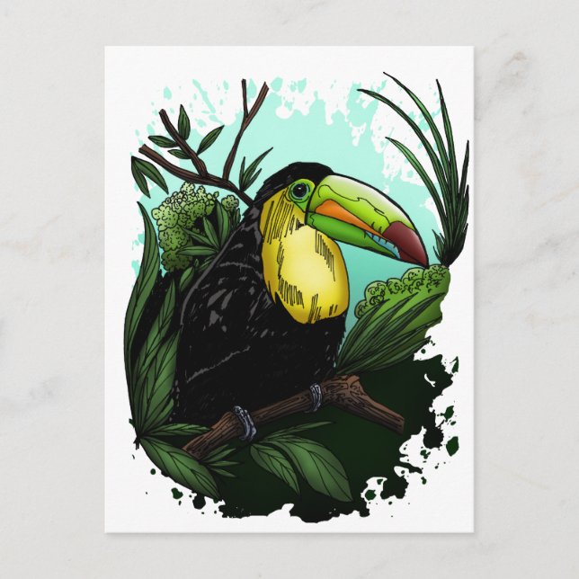 Toucan Postcard (Front)