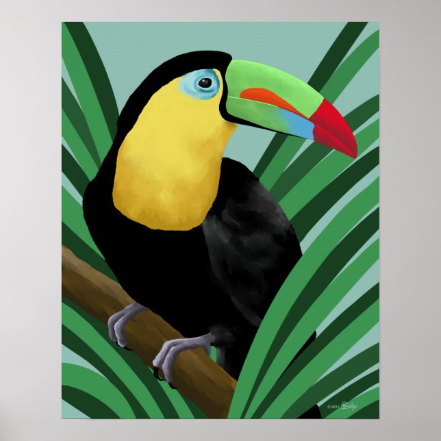 Toucan Poster Print (Front)