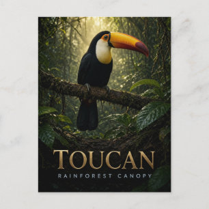 Toucan Rainforest Canopy Wildlife ANIMAL Postcard