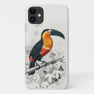 Toucan Ramphastos Illustration Vintage Art Print iPhone 11 Case