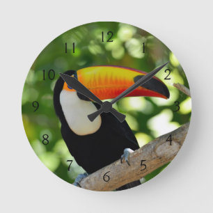 Toucan Round Clock