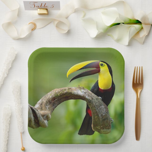 Toucan sitting on the branch in the forest paper plate (Wedding)