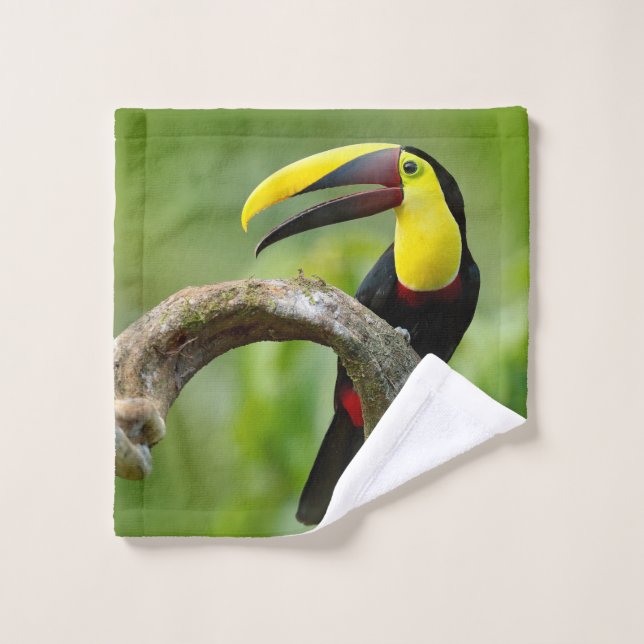 Toucan sitting on the branch in the forest wash cloth (Wash Cloth)