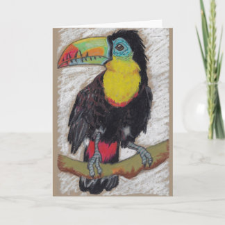 Toucan sketch greeting card by Nicole Janes