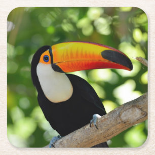 Toucan Square Paper Coaster