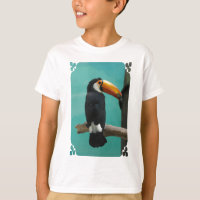 Toucan