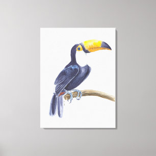Toucan, tropical bird canvas print