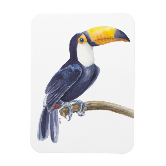 Toucan, tropical bird magnet (Vertical)