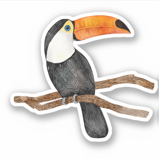 Toucan Tropical Bird Nature   (Front)