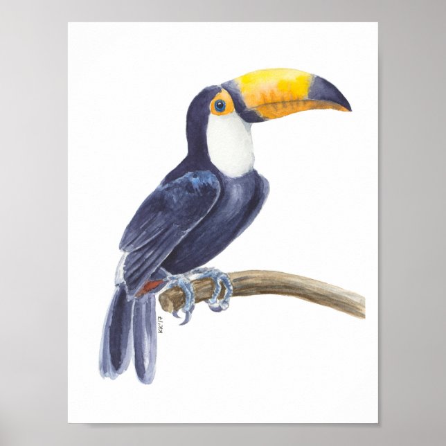 Toucan, tropical bird poster (Front)