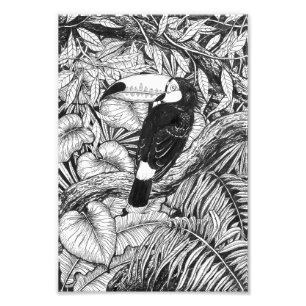 Toucan tropical garden photo print