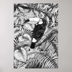 Toucan tropical garden poster