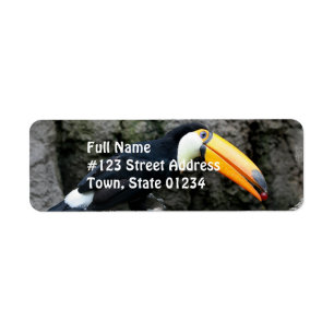 Toucan with Berry Return Address Label
