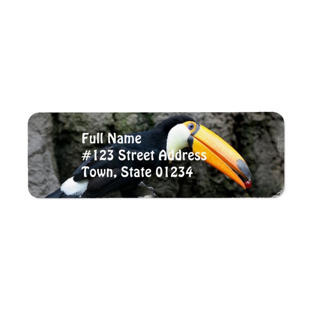 Toucan with Berry Return Address Label (Front)