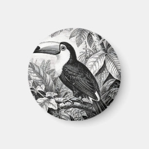 Toucans Jungle Foliage Engraving Magnet
