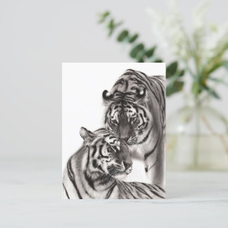 Touch - Hand-Painted Original Tiger Artwork  Postcard