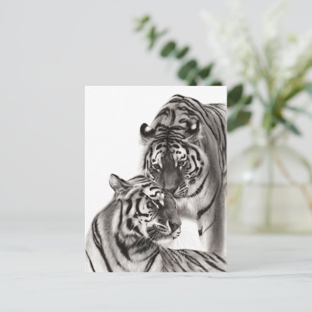 Touch - Hand-Painted Original Tiger Artwork  Postcard (Standing Front)