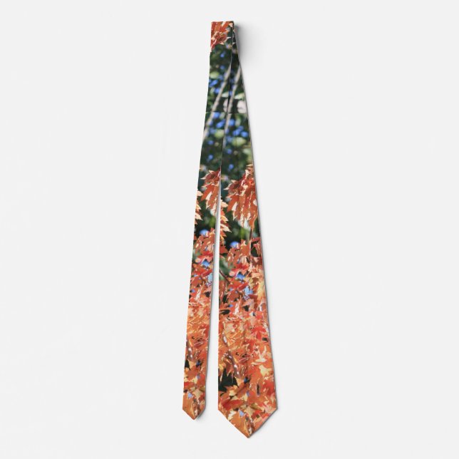 Touch of Fall Tie (Back)