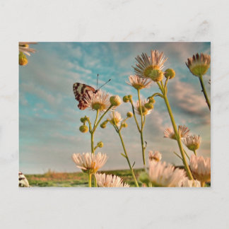 Touch of Magic  Dust From Oz Postcard