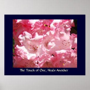 Touch of One, Heals Another art print Pink Rhodies