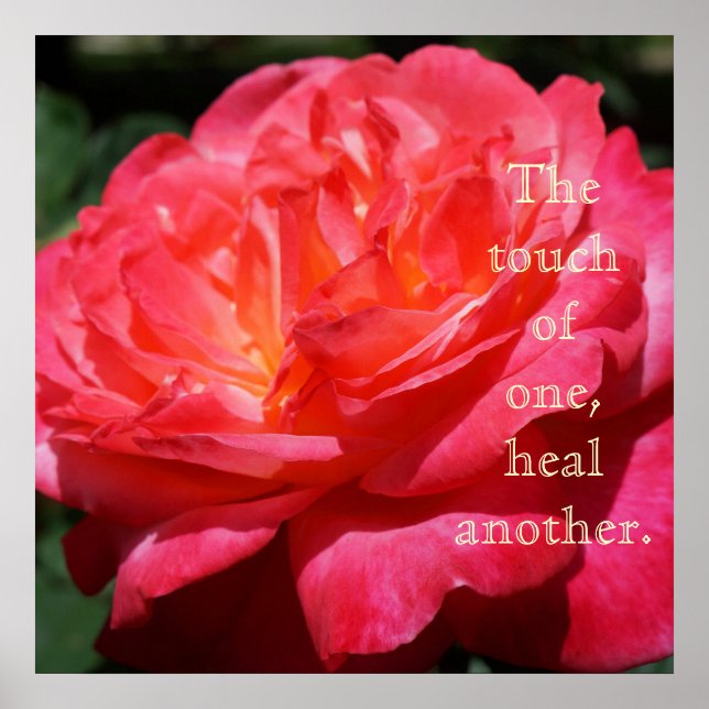 Touch of one heals another Healing Rose art prints (Front)