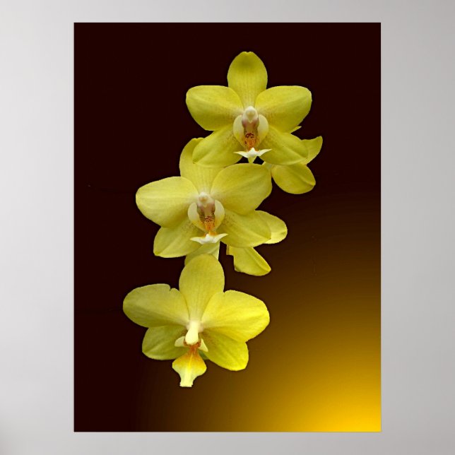 Touch of Oriental Poster (Front)