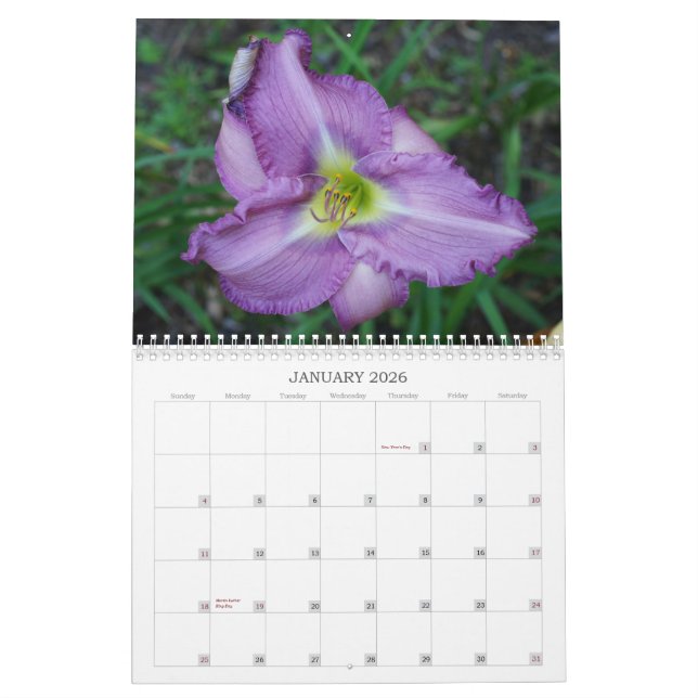 Touch of the Sun Daylilies II Calendar (Jan 2026)