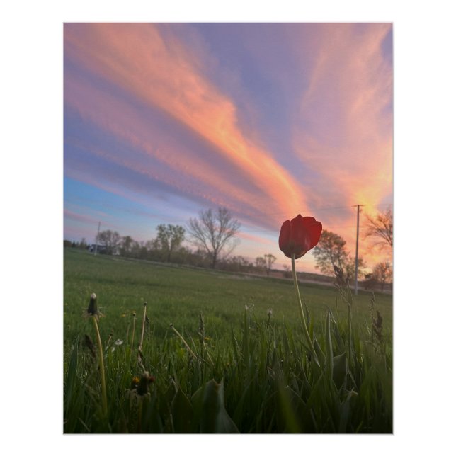 Touch The Sky Poster (Front)