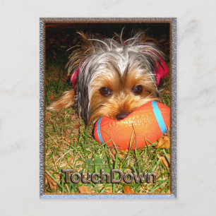 TouchDown Yorkie Postcard